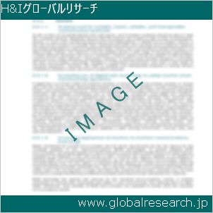 グローバルリサーチ調査レポートのイメージ